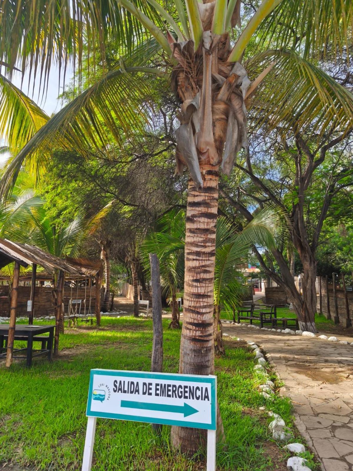 Loki Del Mar Hostel Mancora Exterior photo